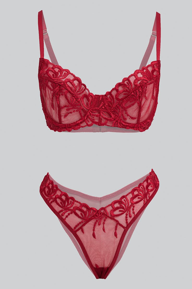 Red Embroidered Lingerie Set